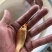 红鲤鱼苗产地直发品种好规格齐全包技术指导鲜活发货