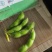 翠绿宝毛豆40/斤的50斤的都有，