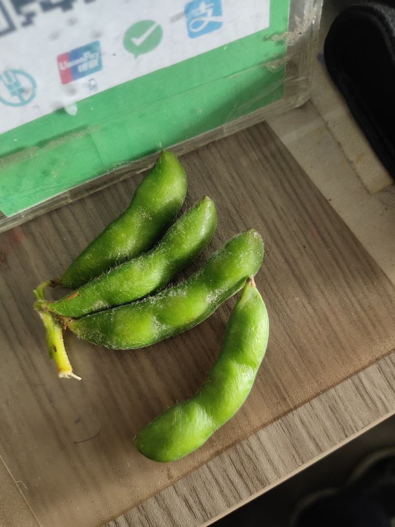 翠绿宝毛豆40/斤的50斤的都有，