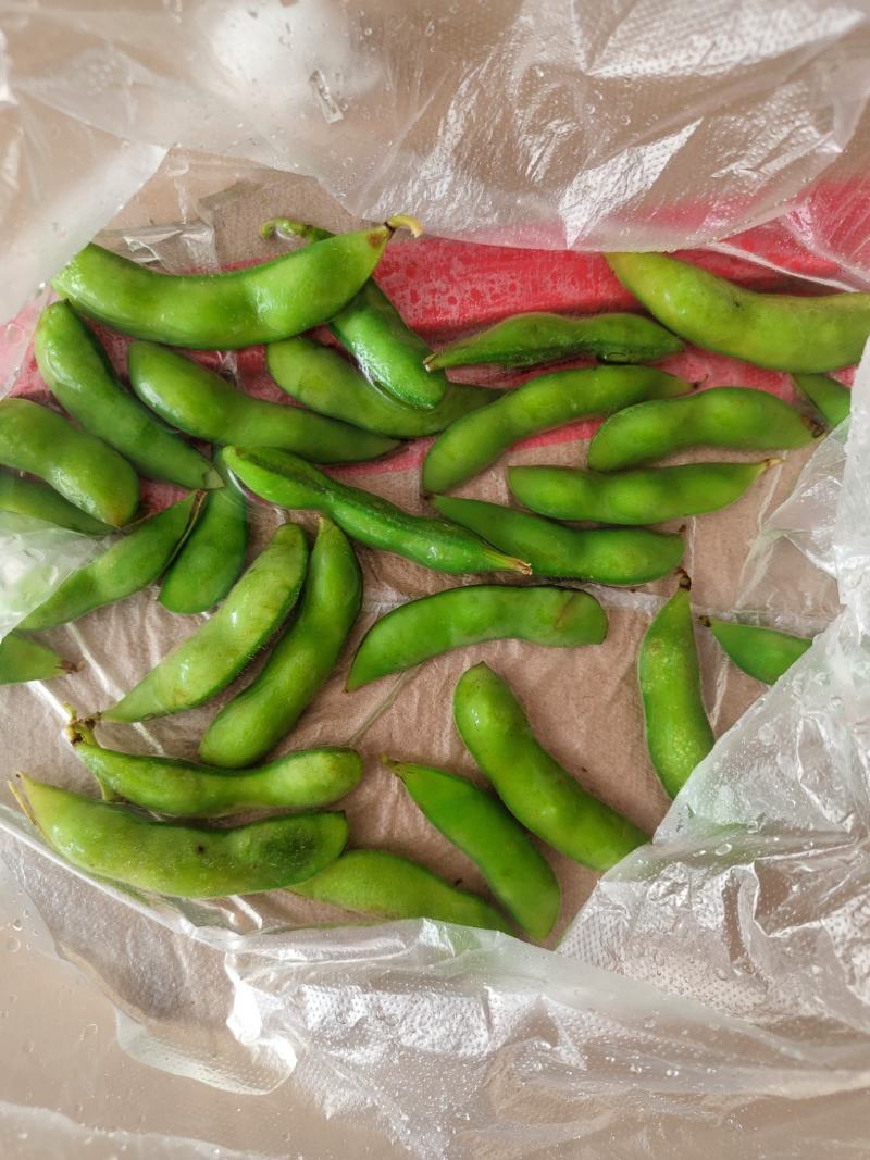 翠绿宝毛豆40/斤的50斤的都有，