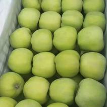 晋州藤木苹果大量上市价格