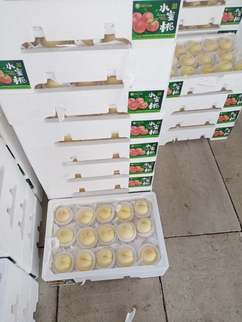 新沂水密桃天天有货