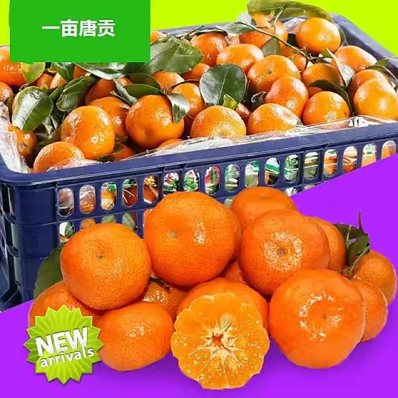 大量代收代发广西砂糖橘电商果，社区，美团等各大平台和市场