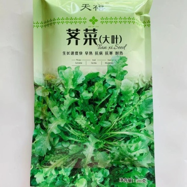 荠菜种子大叶野生荠菜种籽四季保健菜籽种地菜特色青菜萝卜种