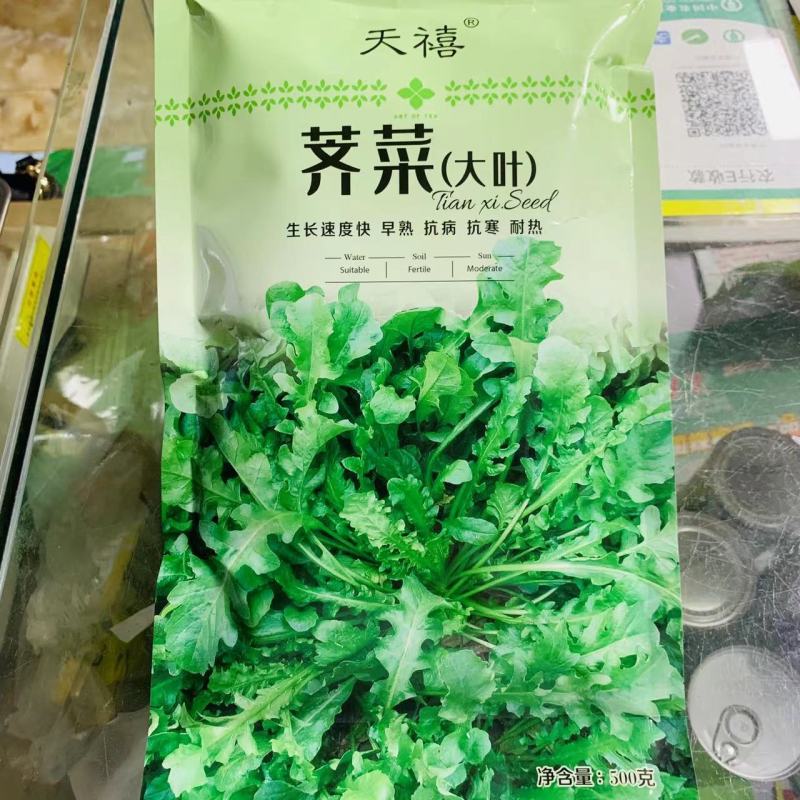 荠菜种子大叶野生荠菜种籽四季保健菜籽种地菜特色青菜萝卜种