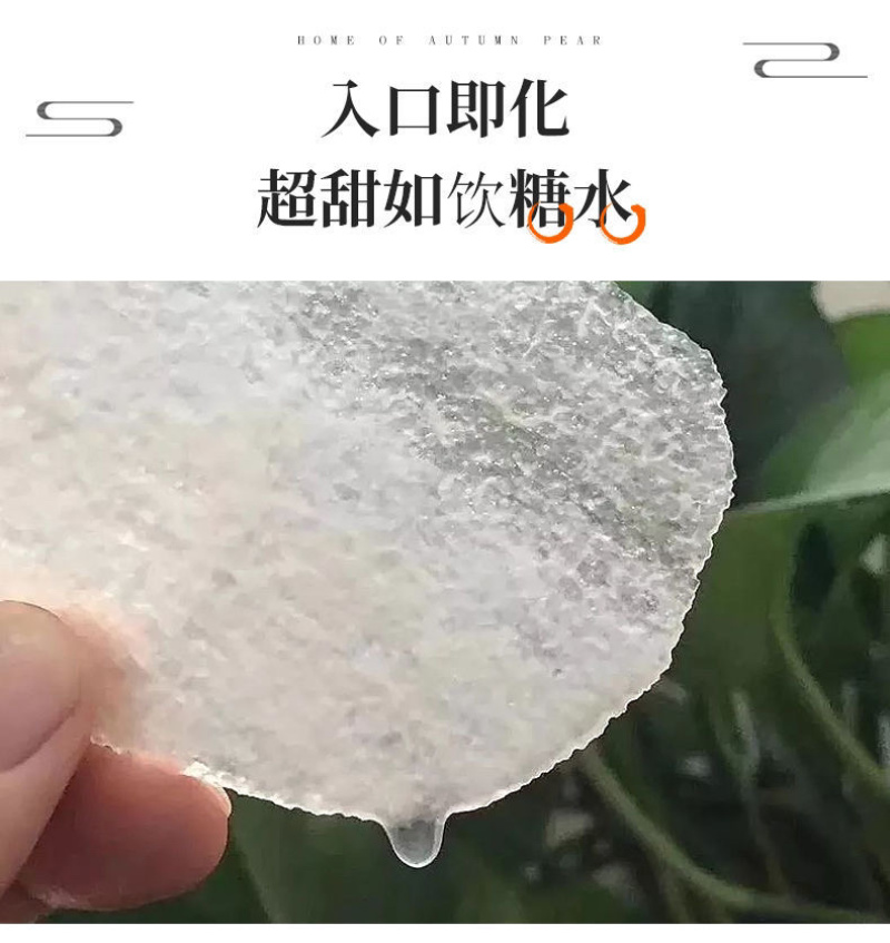 供应一级秋月梨、丰水梨，可对接大型商超、批发市场