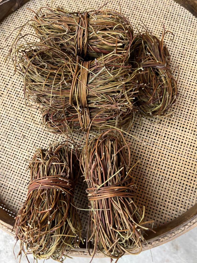 鸡骨草