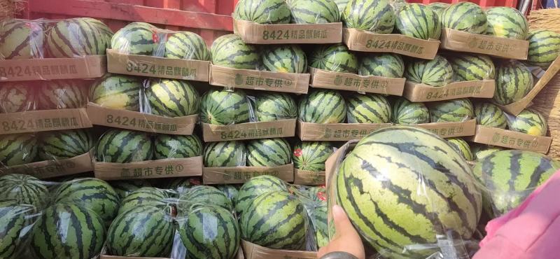 有籽无籽美都大量出售中，欢迎新老顾客预定，支持全国发货。