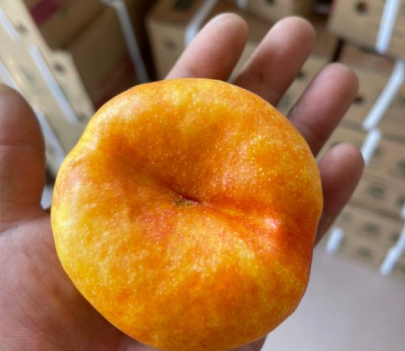 黄油蟠~大荔精品，自主品牌，纸袋黄桃，甜在心里
