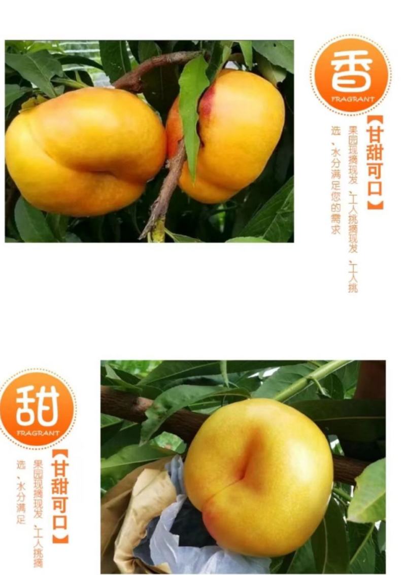 黄油蟠~大荔精品，自主品牌，纸袋黄桃，甜在心里