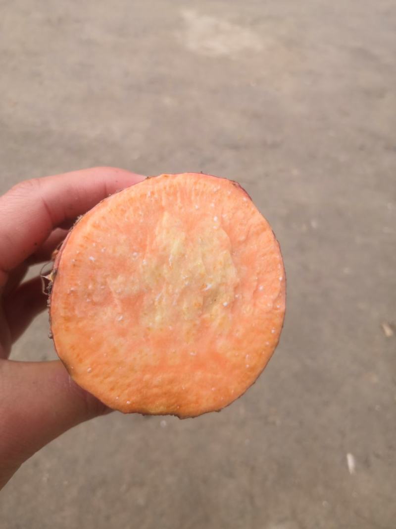 产地直销烟薯紫薯批发零售