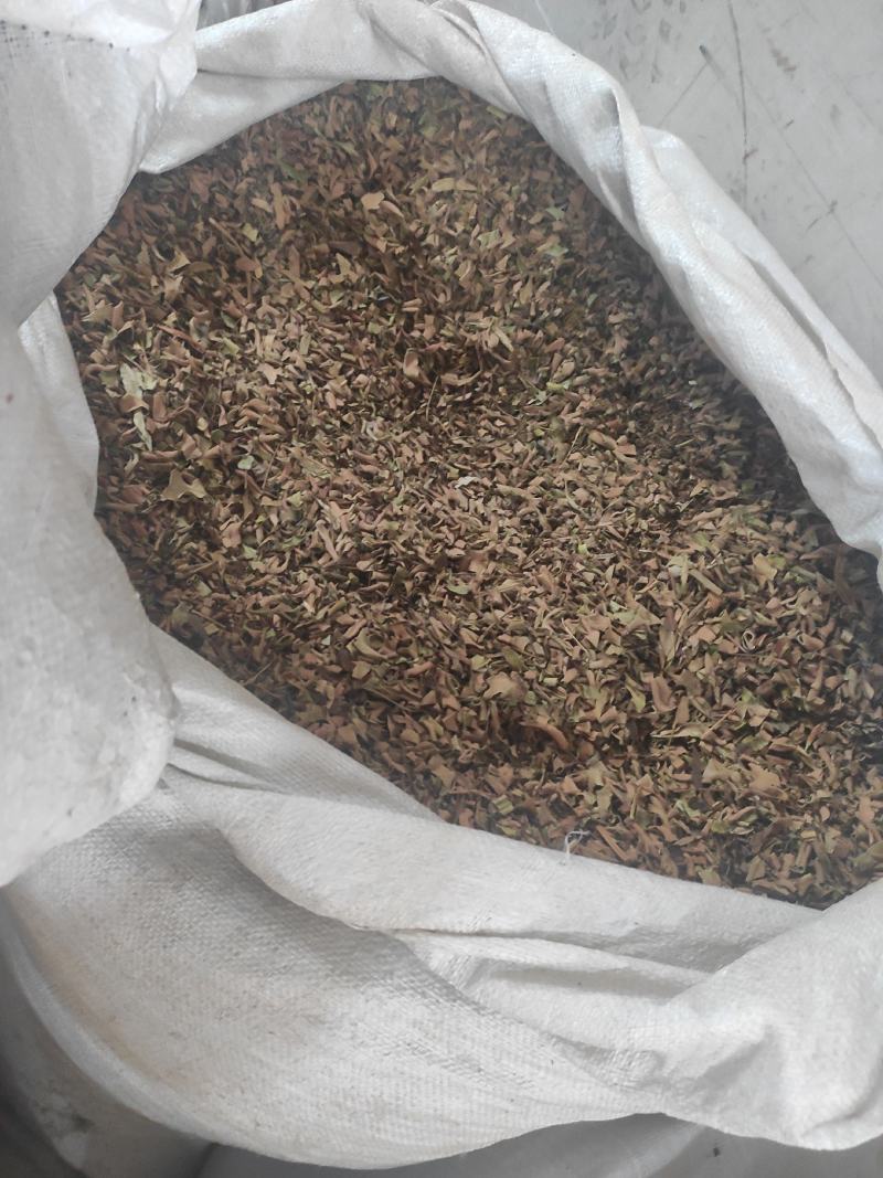小叶石韦干货中药材干净无杂质常年经营各种中药材