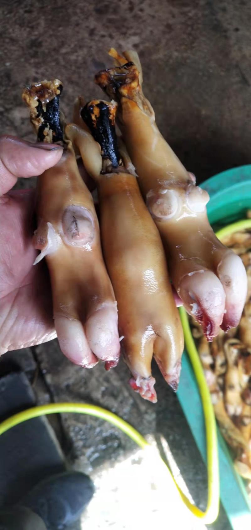 清真火烧山羊蹄大量有货都是自己家加工的质量保证