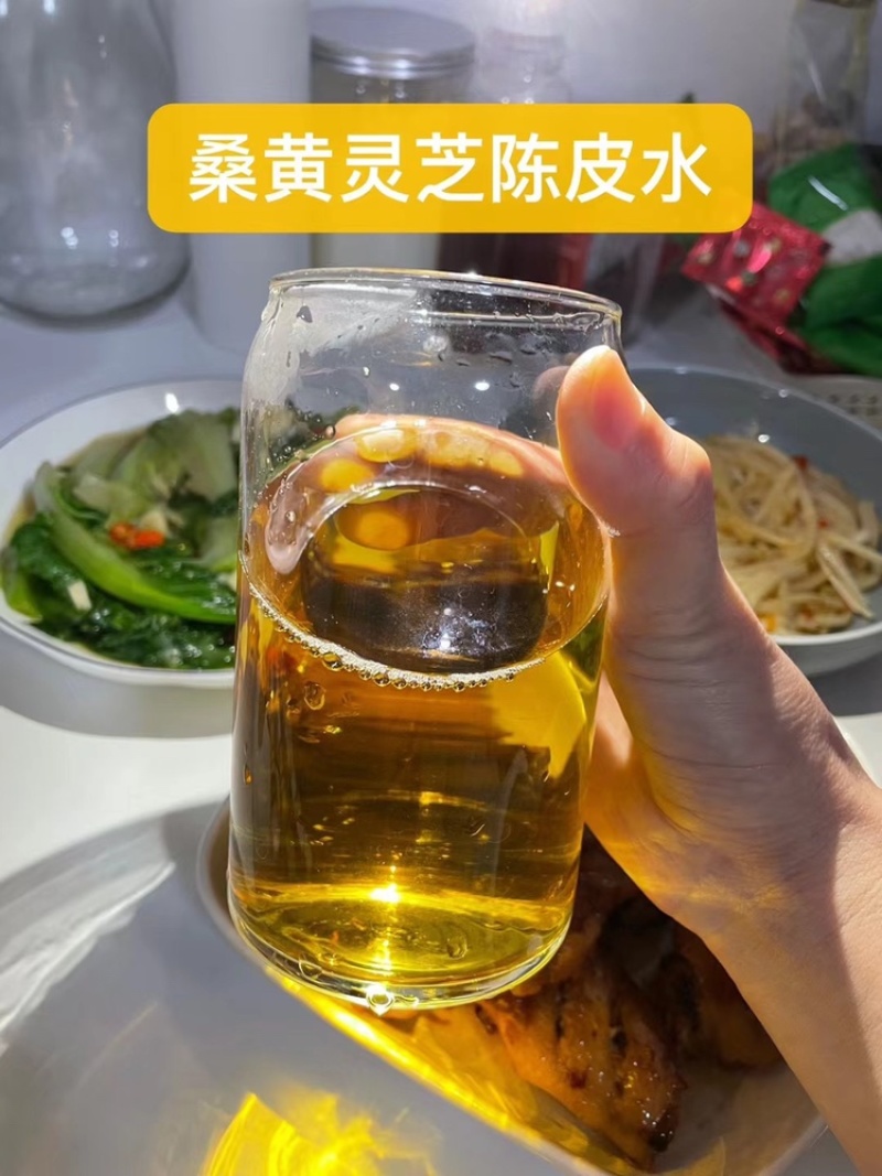 西藏野生桑黄灵芝桑树灵芝黄菌种正品大量批发