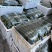 苏州常熟当天现采密刺鲜花新瓜黄瓜基地直发