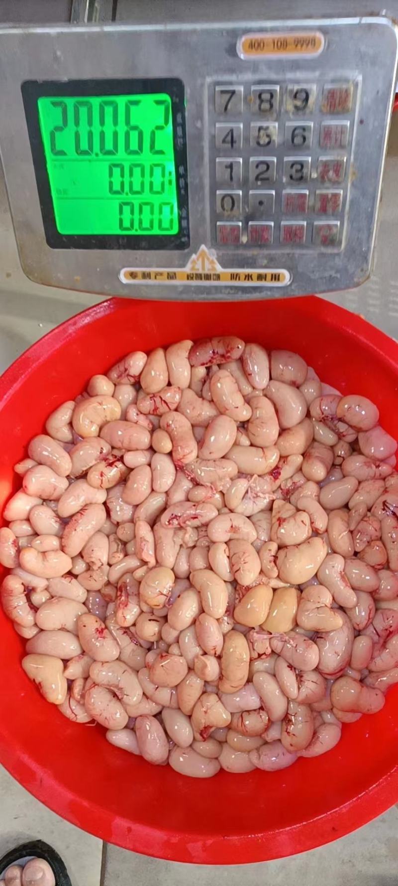 鸡腰子