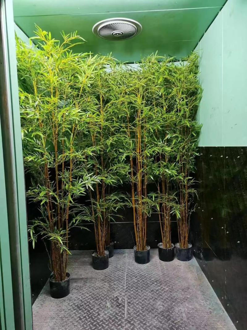 竹子防真竹，绿化景观设计隔断墙屏风