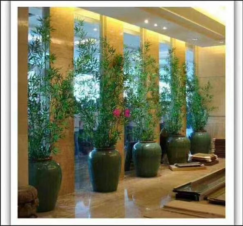 竹子防真竹，绿化景观设计隔断墙屏风