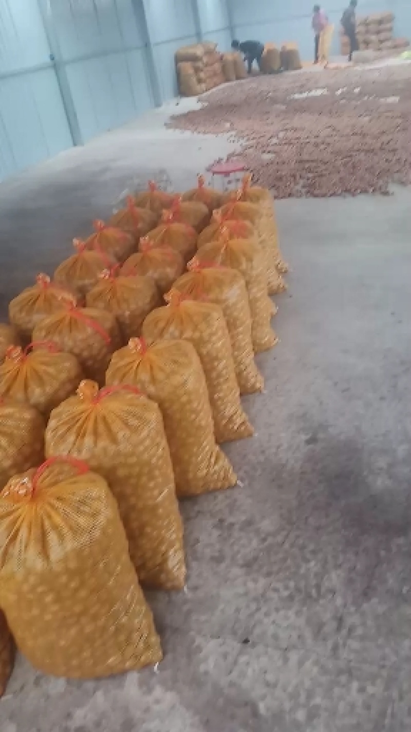 去皮鲜核桃，可手工脱皮可机器脱皮，质量保证，支持一件代发