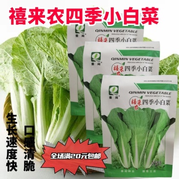 白帮小白菜种子四季播青菜种籽快菜籽农家庭院阳台盆栽蔬菜种