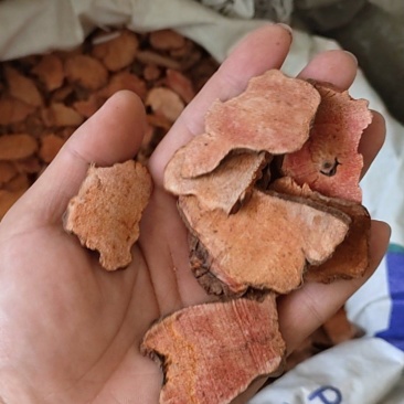 土茯苓鲁舜泽中药材商行批发零售诚信经营全国发货