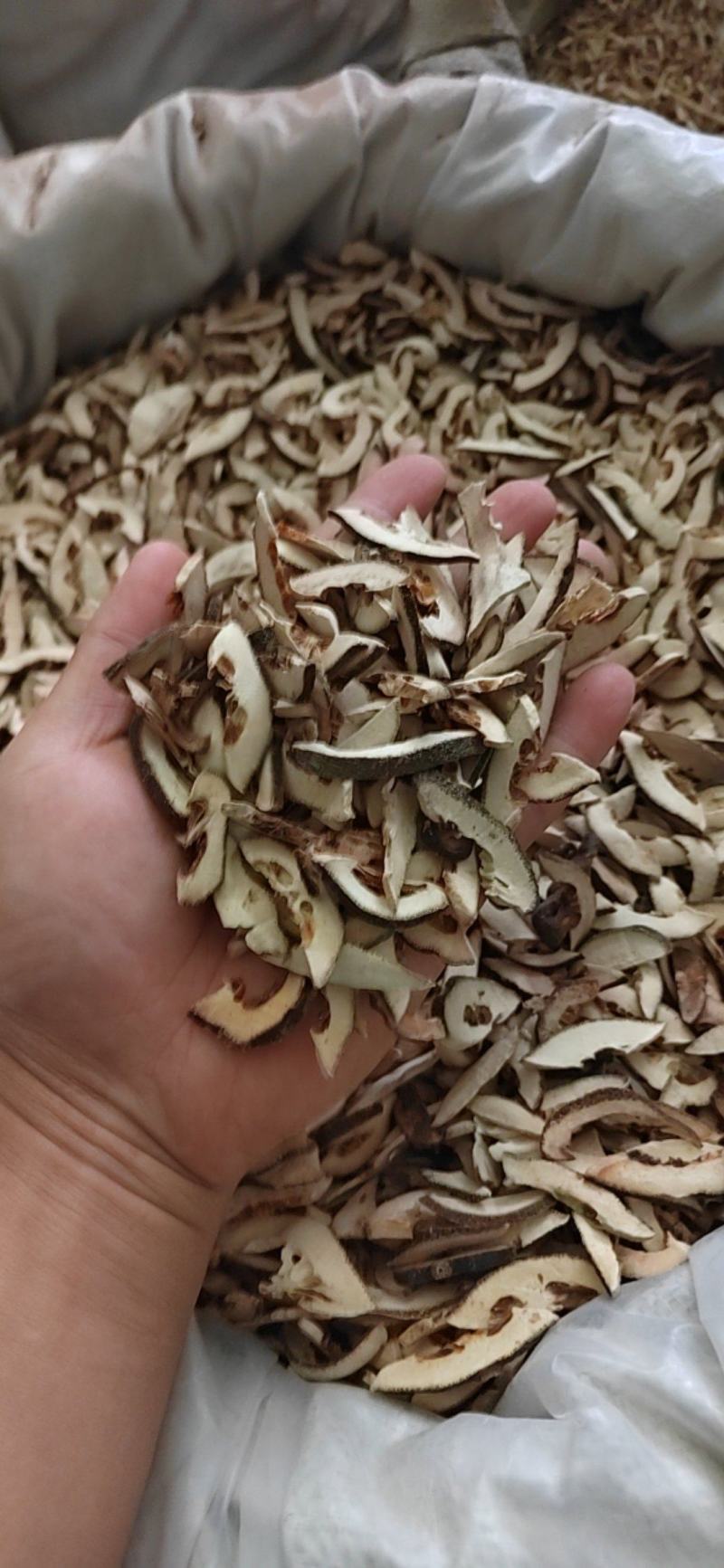 枳壳鲁舜泽中药材商行批发零售诚信经营全国发货