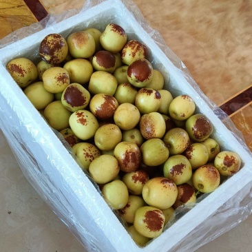 大荔冬枣