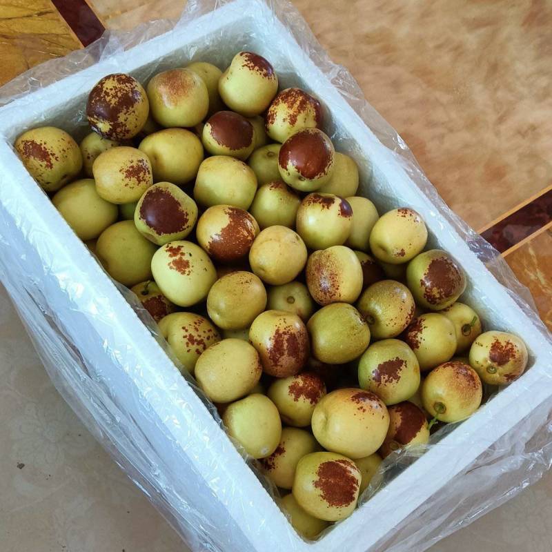 大荔冬枣