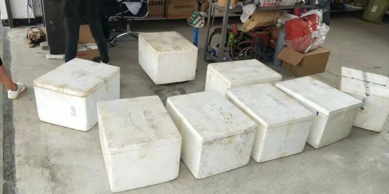 精选红阳荷一手货源品质保证视频看货专业实力代办