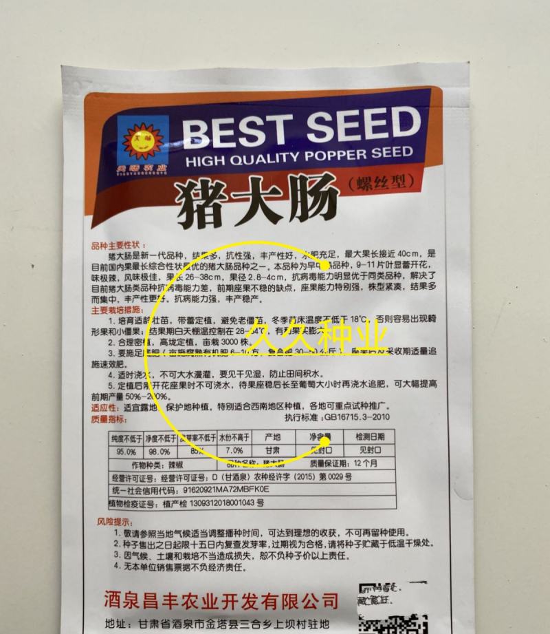 辣椒种子螺丝椒种子四季蔬菜种子杂交高产香辣特大螺丝椒种子