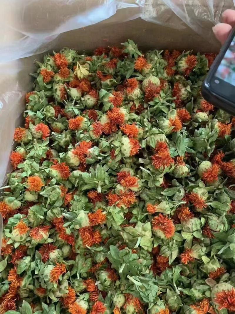 藏红花，红花果