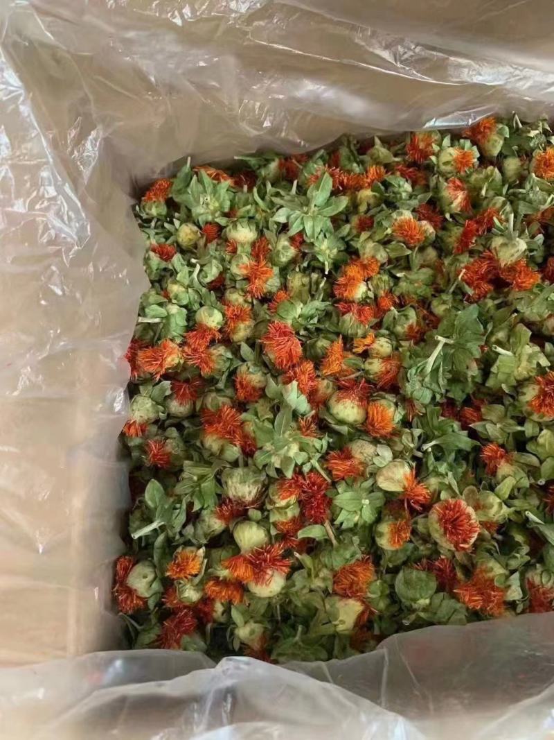 藏红花，红花果