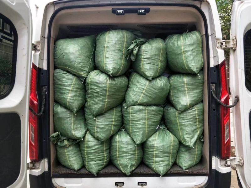 精选红阳荷一手货源品质保证视频看货专业实力代办