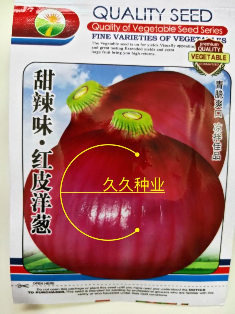 红皮洋葱种籽种子紫皮黄皮高产洋葱圆葱早熟四季蔬菜种子
