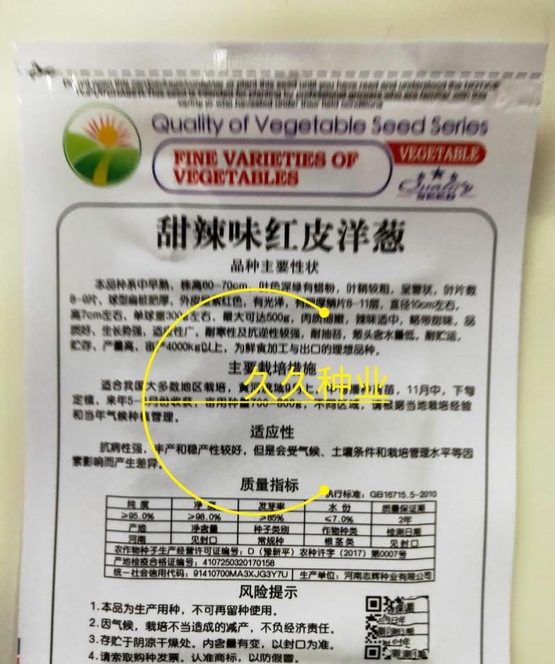 红皮洋葱种籽种子紫皮黄皮高产洋葱圆葱早熟四季蔬菜种子