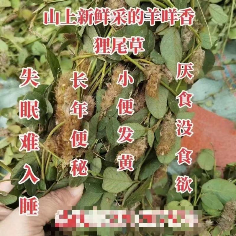 2022现釆现发，广东正宗假地豆，又叫羊咩香干货