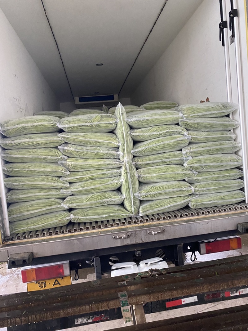 精品长豆角青条豆角产地直供量大从优支持电商及超市