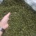 桑叶茶，神仙草长寿茶