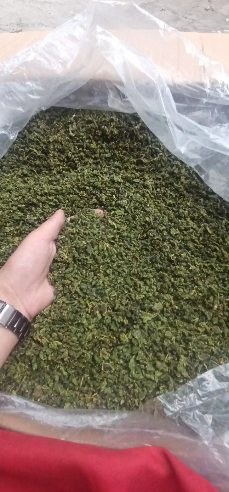 桑叶茶，神仙草长寿茶