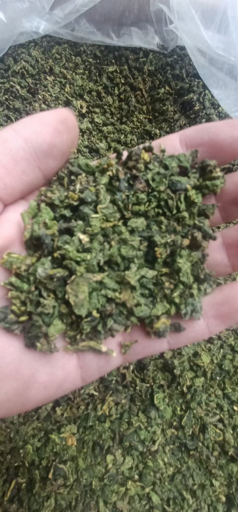 桑叶茶，神仙草长寿茶