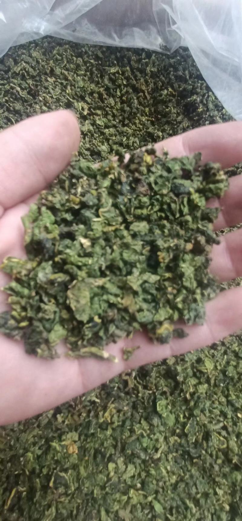 桑叶茶，神仙草长寿茶