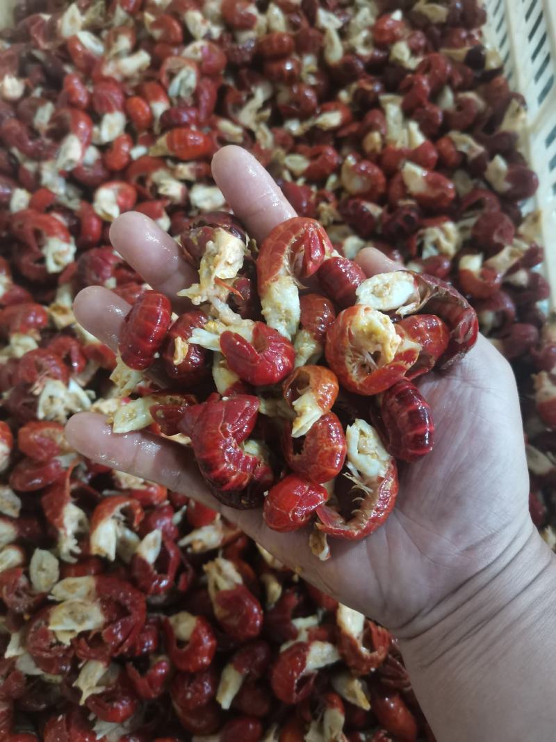 龙虾尾纯干货特级，一级，二级不带冰