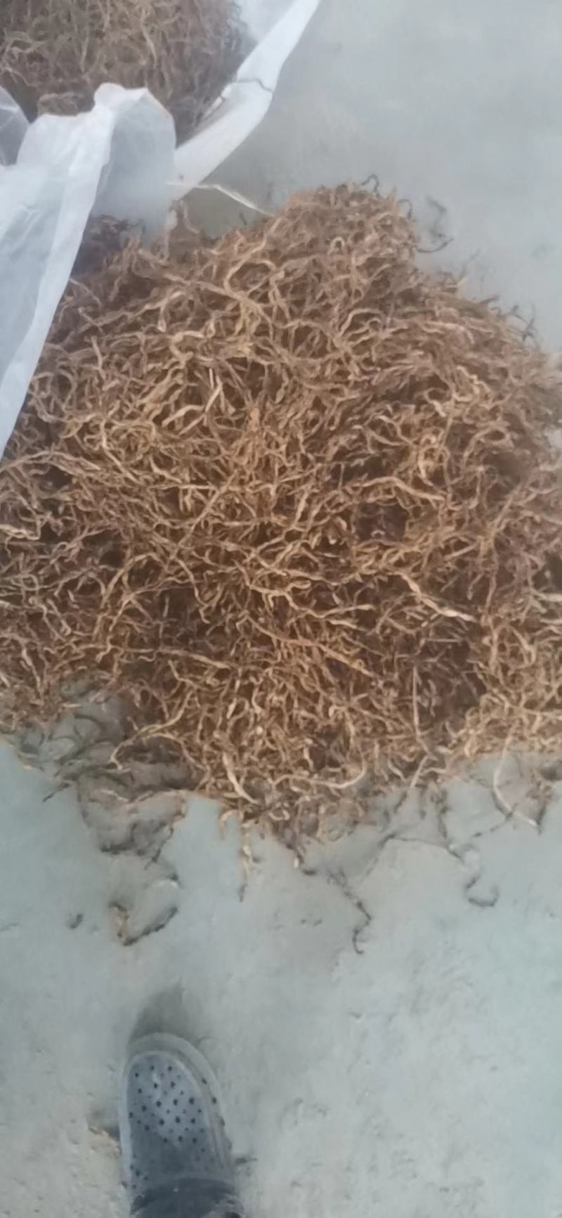 干豆角