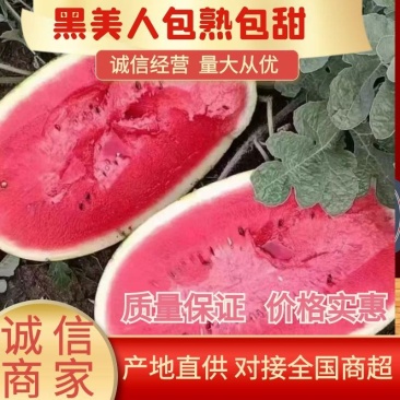 【欢迎来电】精品广西黑美人西瓜货源充足全国发货