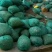 河蚬壳，黄沙蚬壳，蚬子壳，干贝壳