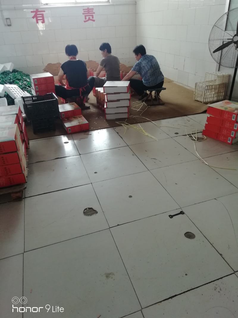 厂家常年批发烤鸭蛋松花蛋麻酱鸡蛋全都有来一亩田看货下订单
