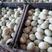厂家常年批发烤鸭蛋松花蛋麻酱鸡蛋全都有来一亩田看货下订单