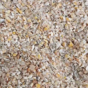 碎玉米粒质量保证厂家大量供货，量大从优，实地考察！
