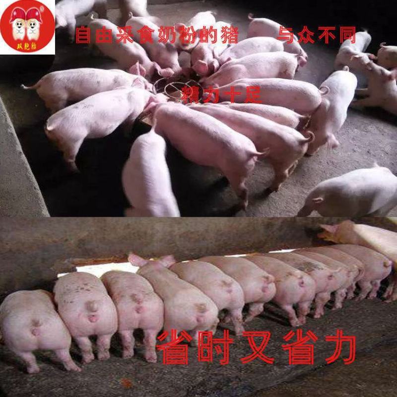 厂家80斤猪饲料喂猪小猪开口母猪成猪育肥颗粒全价料