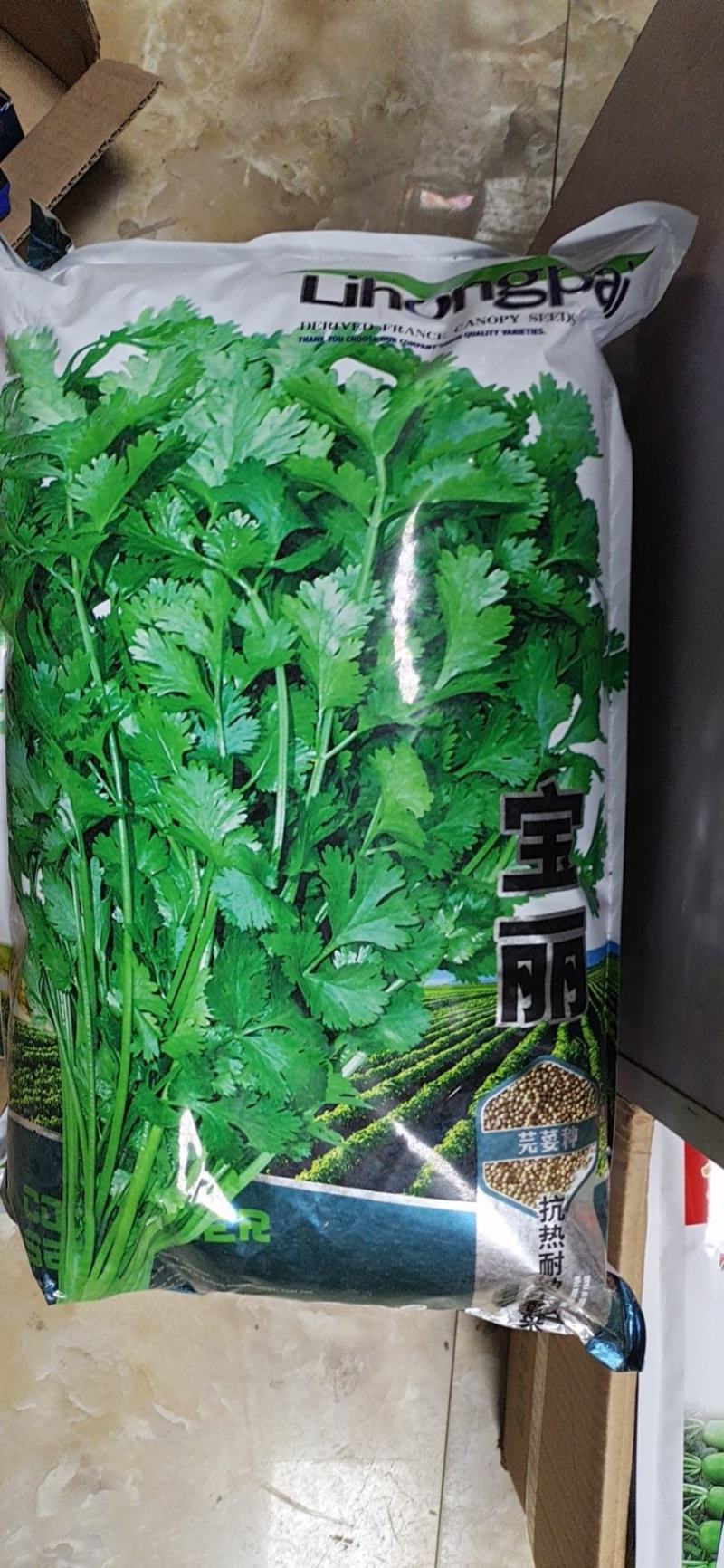 澳洲进口香菜种子一年四季均可播蔬菜籽夏秋耐热耐寒香菜种子